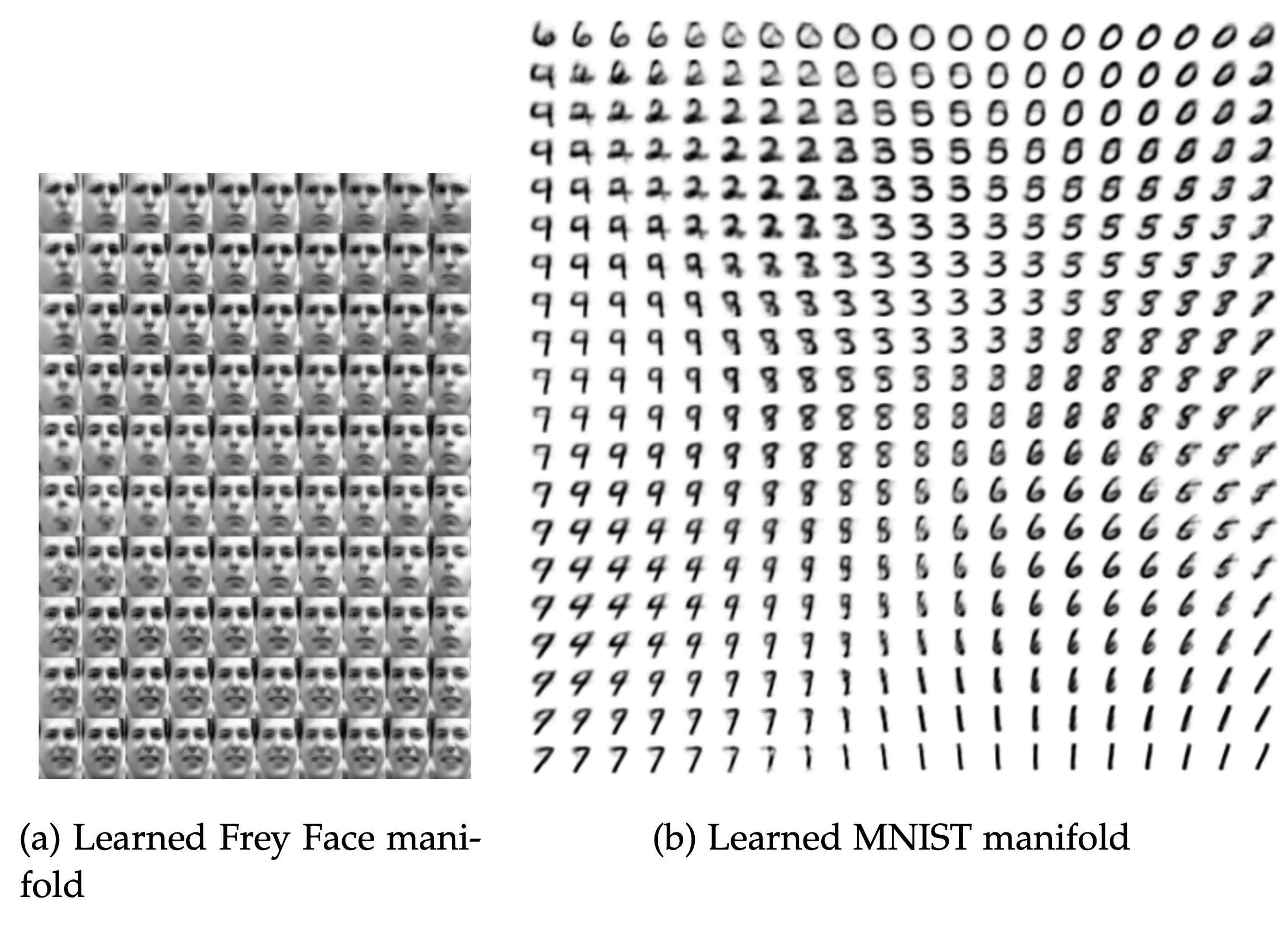 Learned manifolds