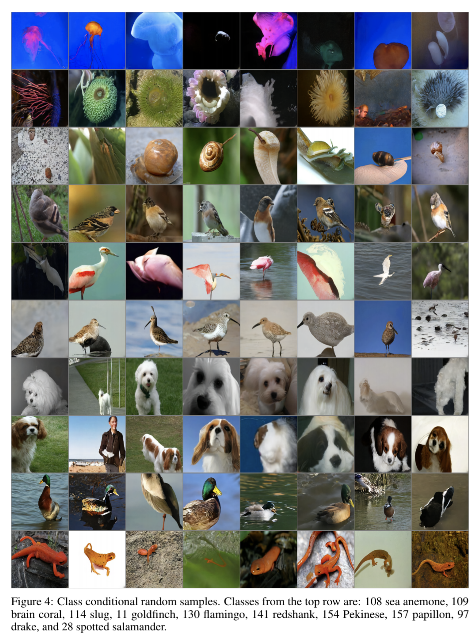 Class-conditional VQ-VAE-2 samples on ImageNet